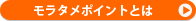 �����^���|�C���g�Ƃ�