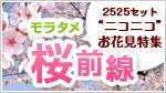 モラタメ桜前線 ニコニコお花見企画