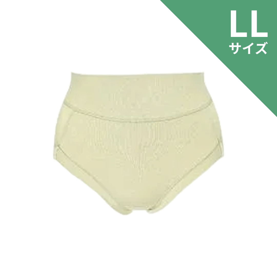 ショーツLL2枚 ショーツクローゼット 婦人 2枚よりどり 蒸れ軽減ショーツ L