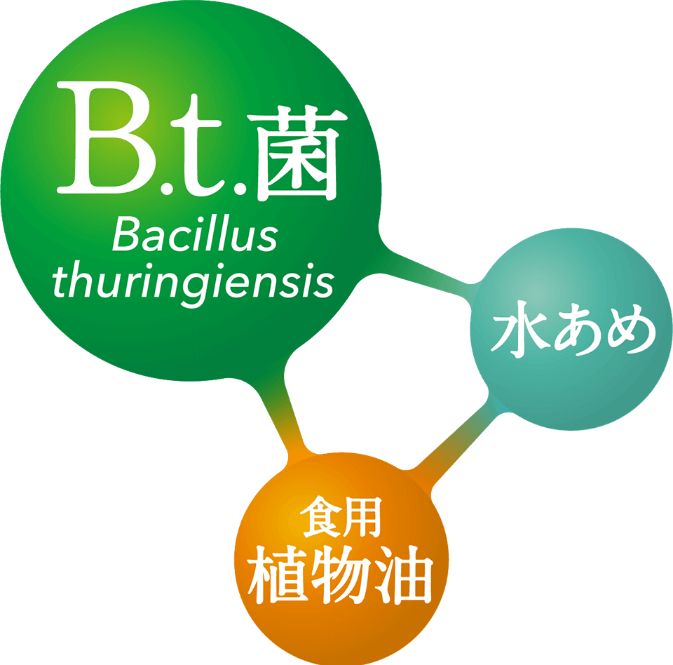 B.t菌 Bacillus thuringiensis 水あめ 食用植物油