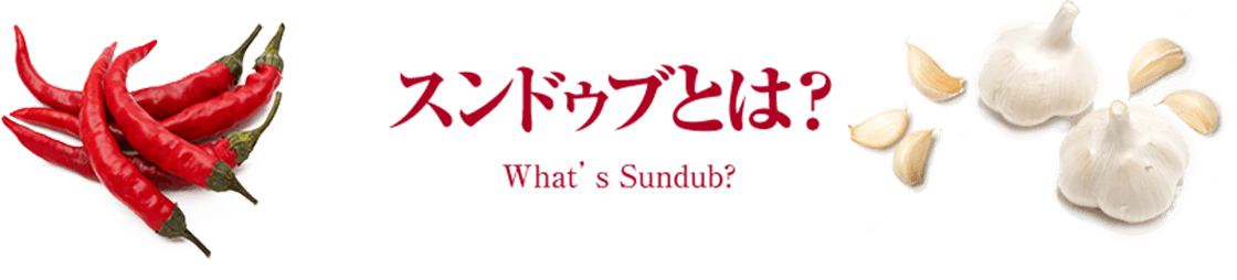 スンドゥブとは？ What's Sundub?