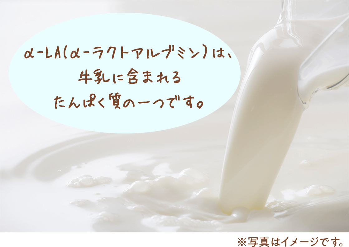 α-LA(α-ラクトアルブミン）は、牛乳に含まれるたんぱく質の一つです。