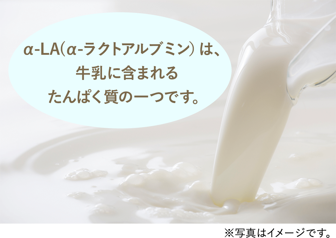 α-LA(α-ラクトアルブミン）は、牛乳に含まれるたんぱく質の一つです。