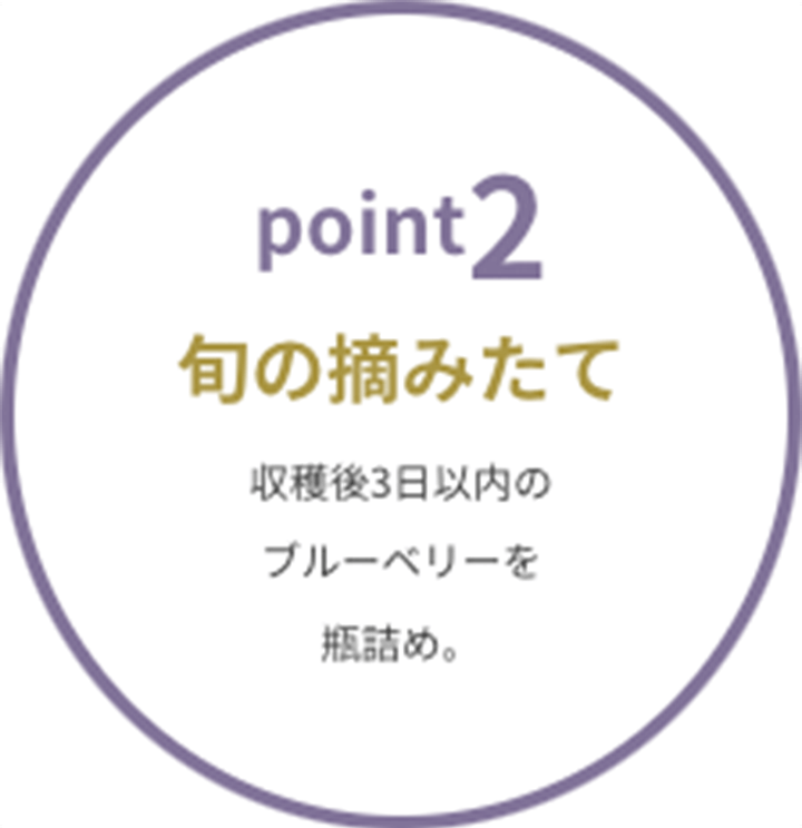 point2 {̓E݂ n3ȓ̃u[x[rl߁B