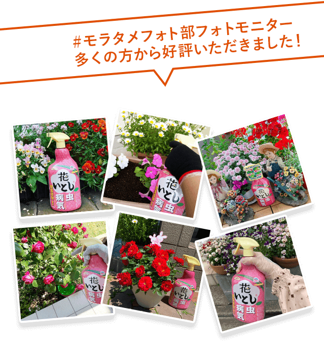 #モラタメフォト部フォトモニター多くの方から好評いただきました!