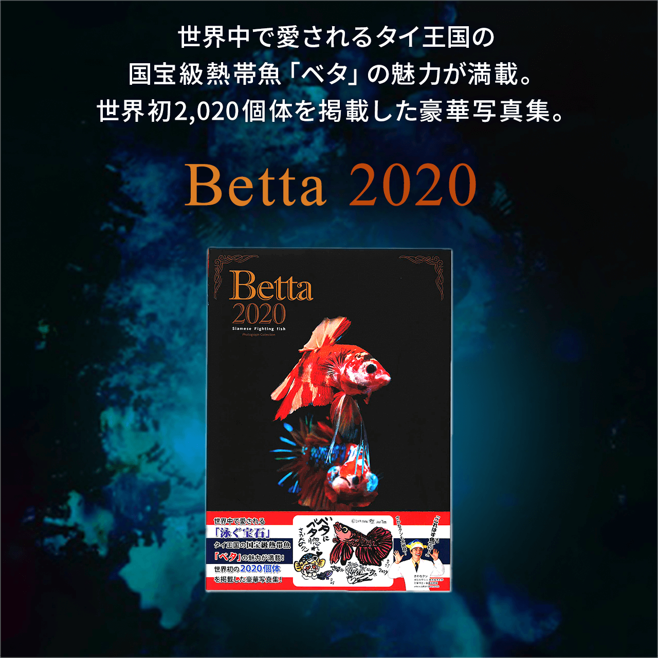 Eň^C̍󋉔Mыux^v̖͂ځBE2,020̂fڂ؎ʐ^WBBetta 2020