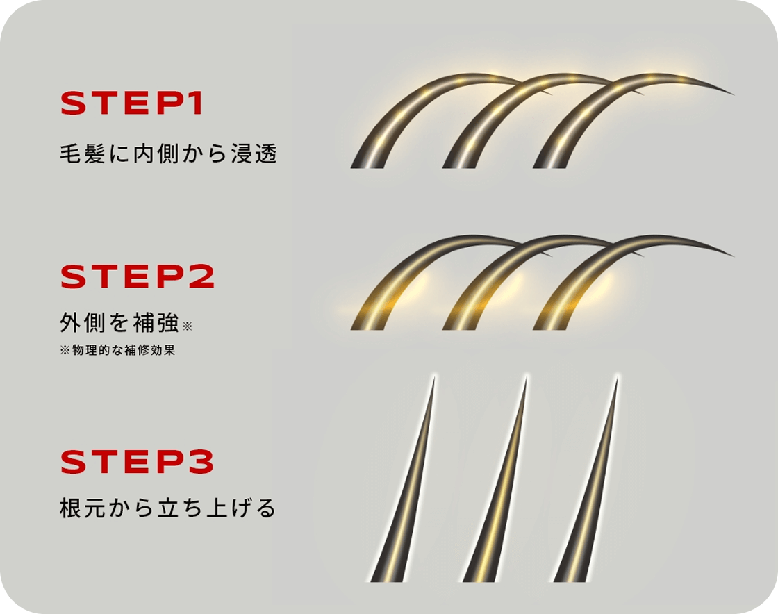 STEP1єɓZSTEP2O⋭STEP3{痧グ