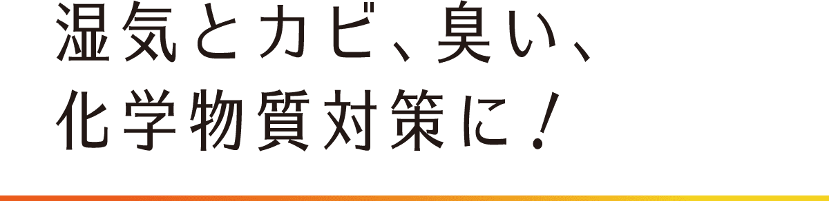 CƃJrALAw΍ɁI