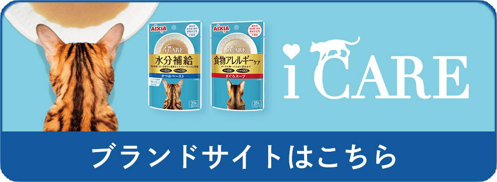 uhTCg͂