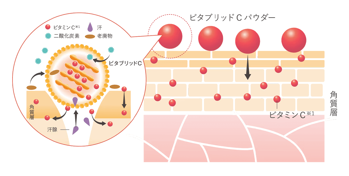 r^ubhCtFCX3̃|CgpE_[