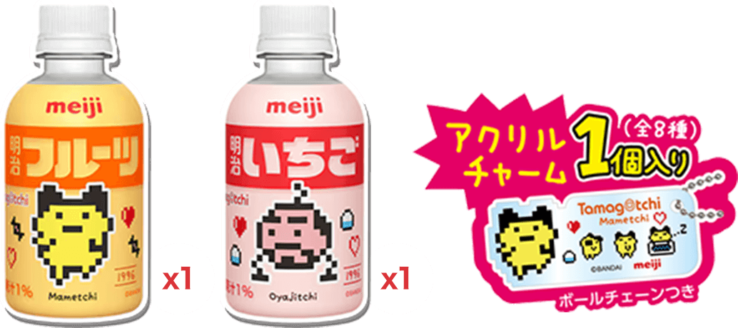 セット内容