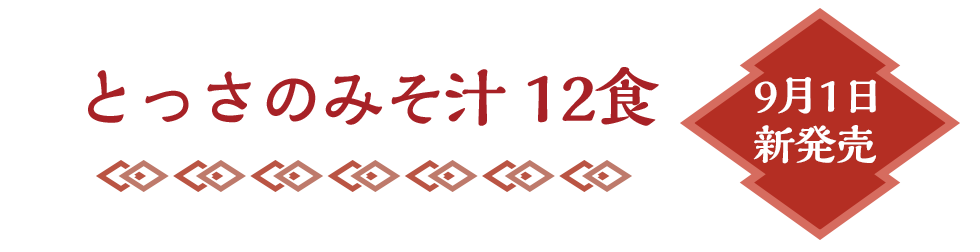 Ƃ݂̂` 12H 91V