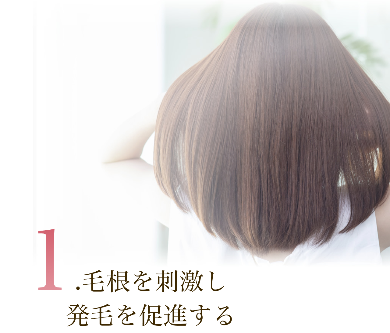 Point01
            1.эhт𑣐i