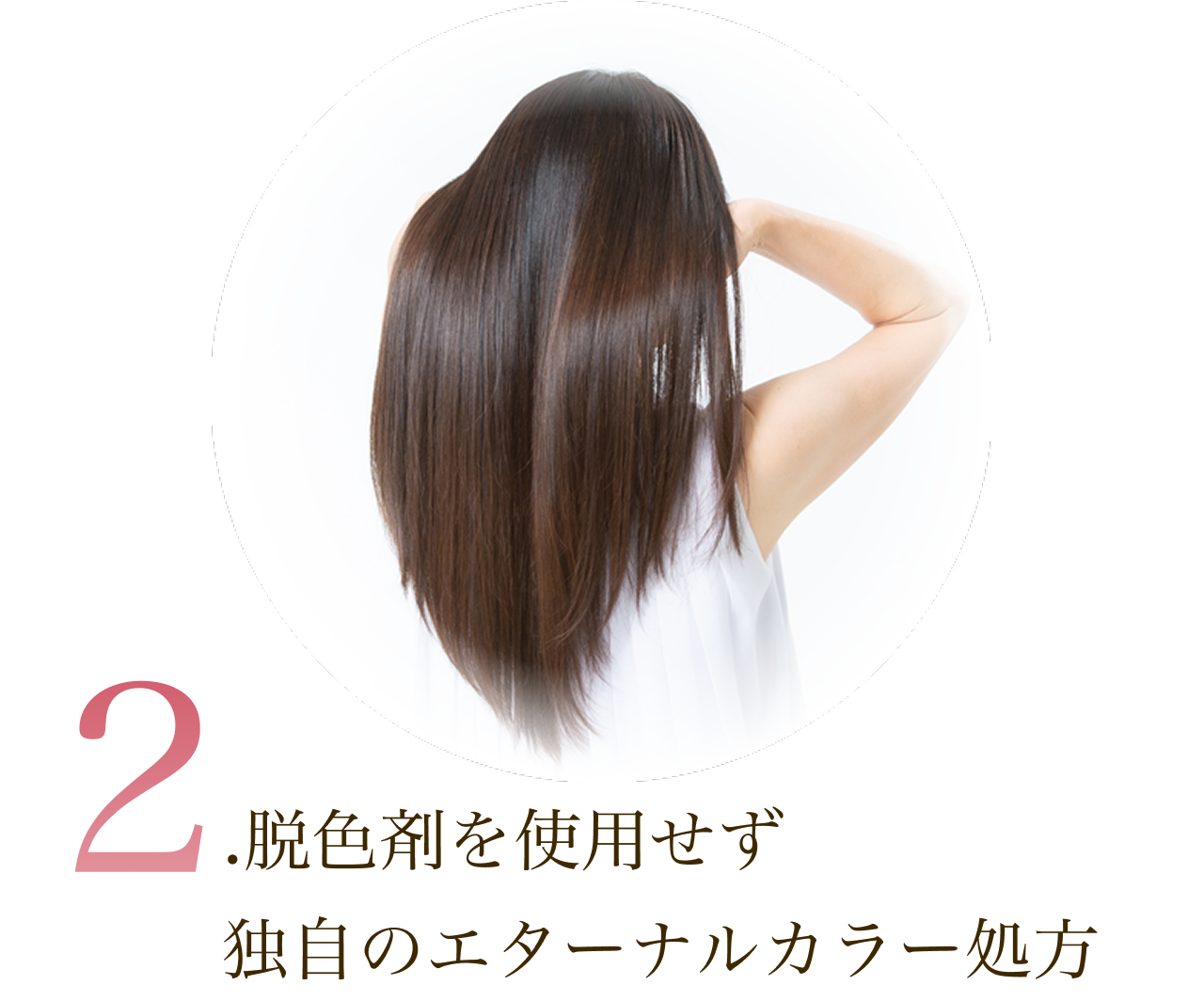 Point02
            2.EF܂gpƎ̃G^[iJ[