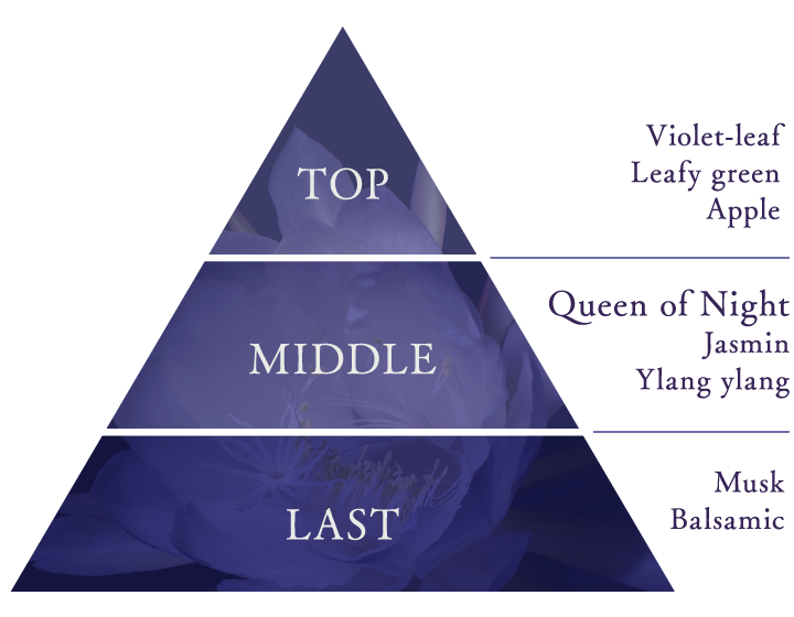 TOPFViolet-leafALeafy greenAApple@MIDDLEFQueen of NightAJasminAYlang ylang@LASTFMuskABalsamic