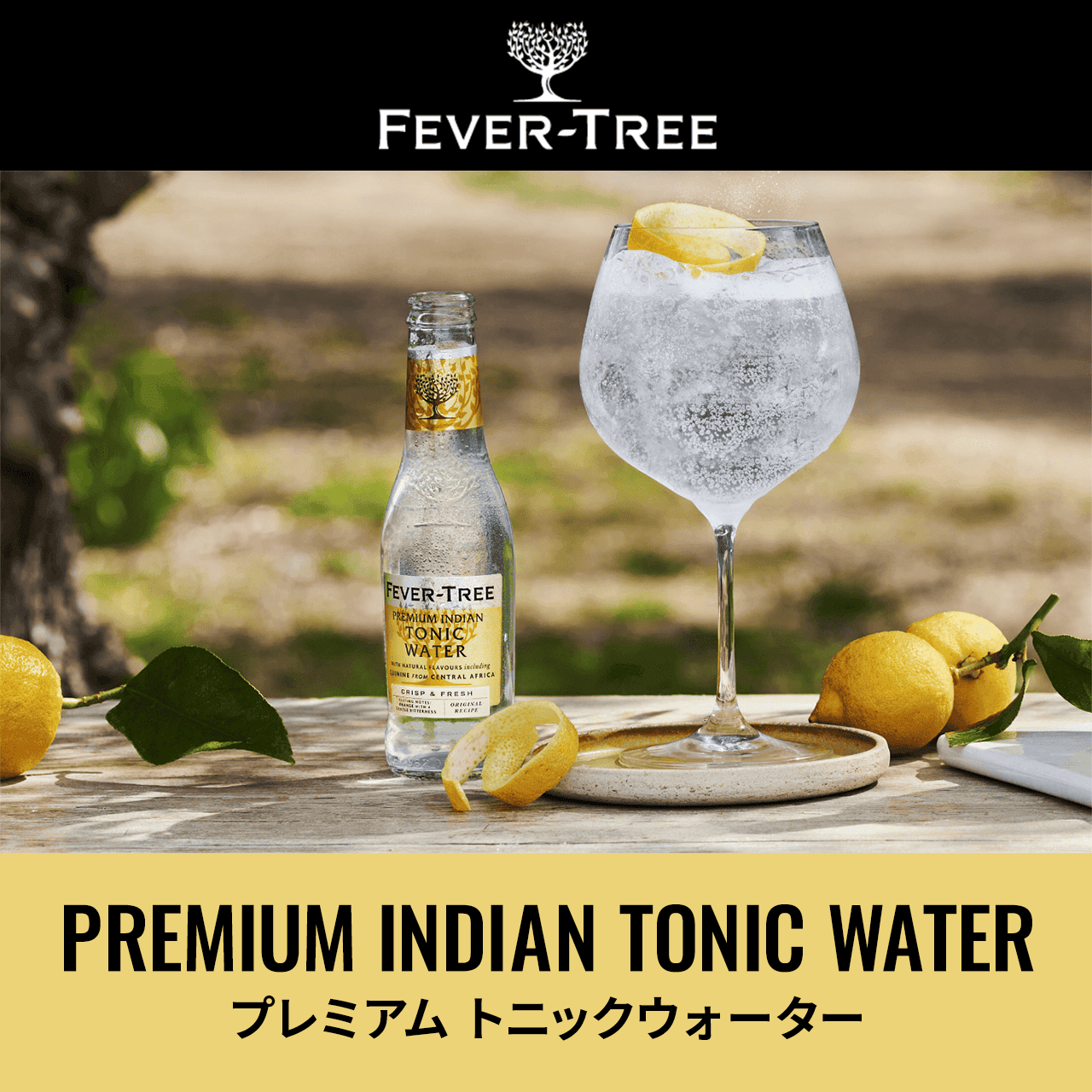 FEVER TREE v~A@gjbNEH[^[