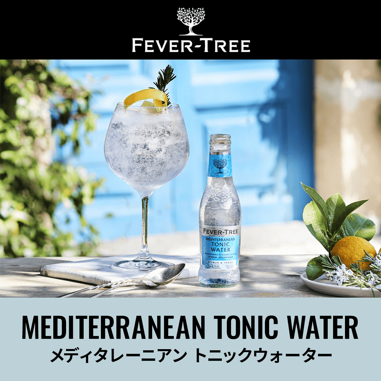 FEVER TREE fB^[jA gjbNEH[^[