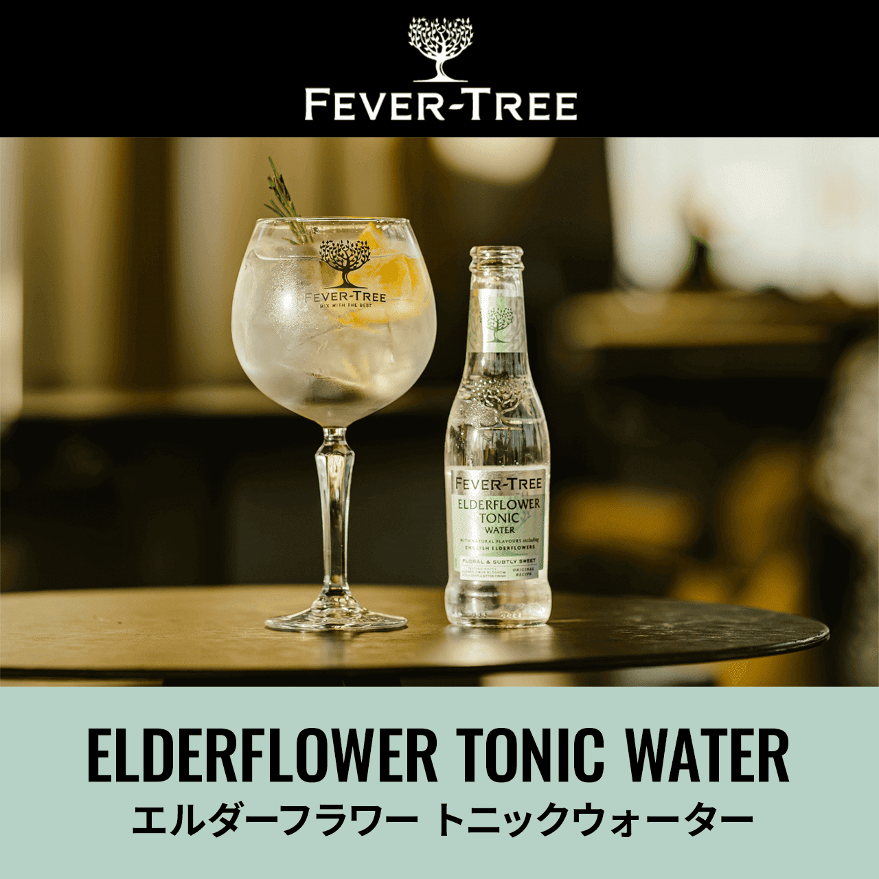 FEVER TREE G_[t[ gjbNEH[^[