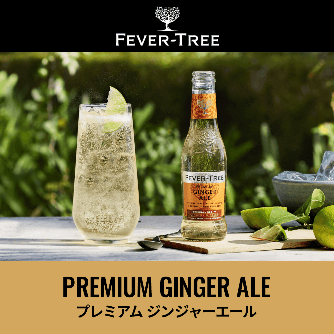 FEVER TREE プレミアム ジンジャーエール