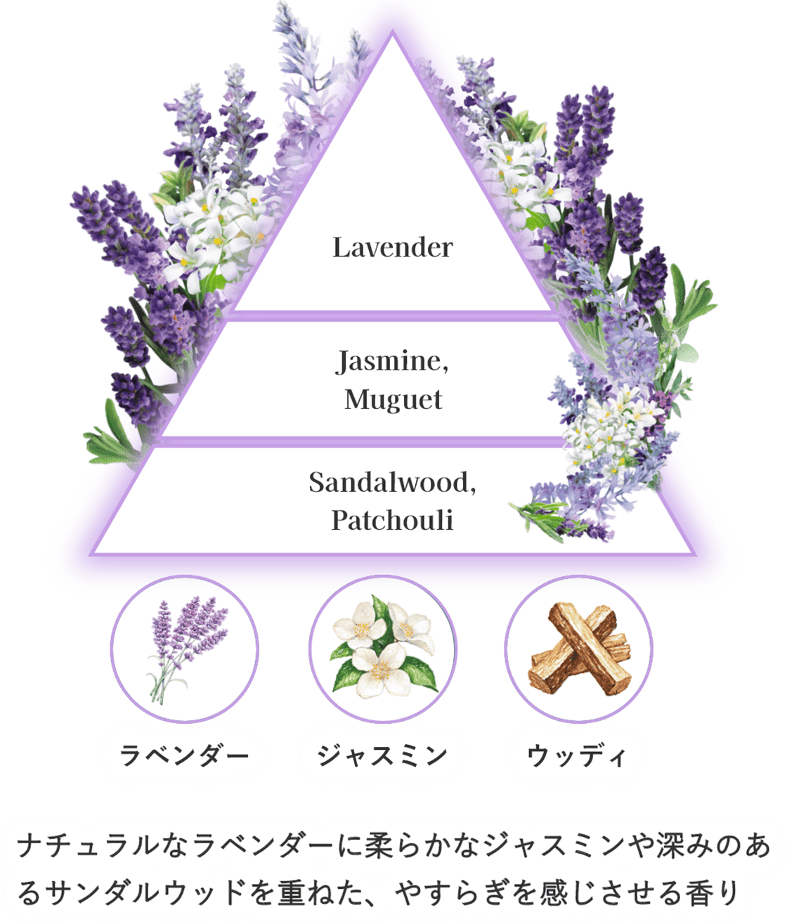 ナチュラルなラベンダーに柔らかなジャスミンや深みのあるサンダルウッドを重ねた、やすらぎを感じさせる香り