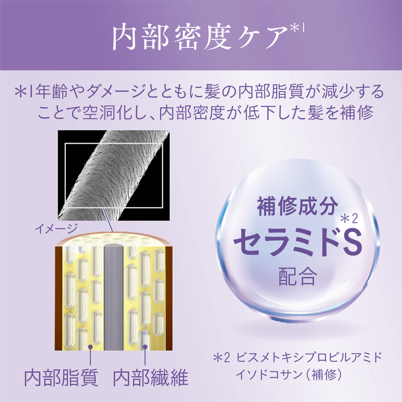 xPA
            N_[WƂƂɔ̓邱Ƃŋ󓴉AxቺC