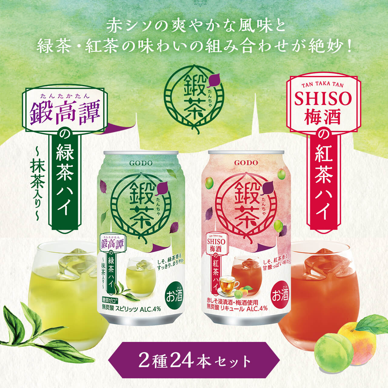 鍛茶・鍛高譚の緑茶ハイ TAN TAKA TAN SHISO 梅酒の紅茶ハイ 2種24本セット