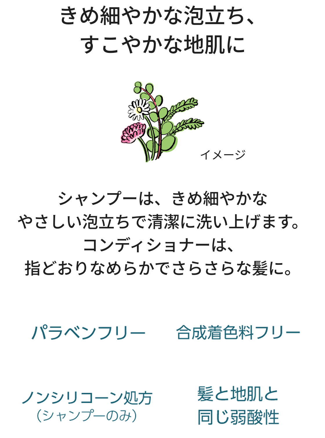 きめ細やかな泡立ち、すこやかな地肌に
シャンプーは、きめ細やかな優しい泡立ちで清潔に洗い上げます。コンディショナーは、指通りなめらかでサラサラな髪に。
パラベンフリー、合成着色料フリー、ノンシリコーン処方(シャンプーのみ)、髪と地肌と同じ弱酸性