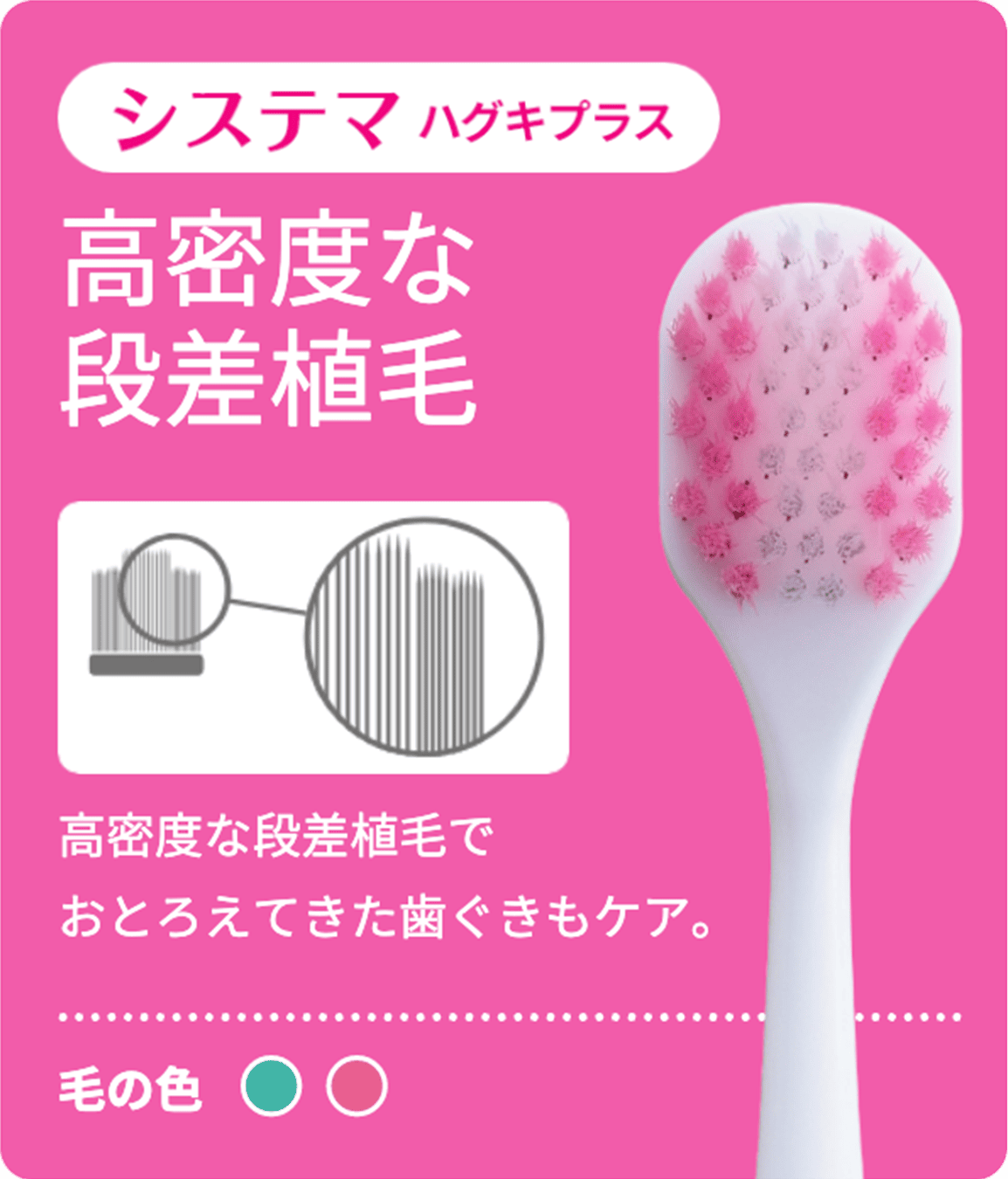 システマハグキプラス