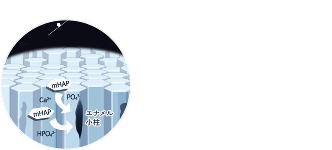 3.ނ̍ĐΊD Gin~l⋋BނĐΊD܂B