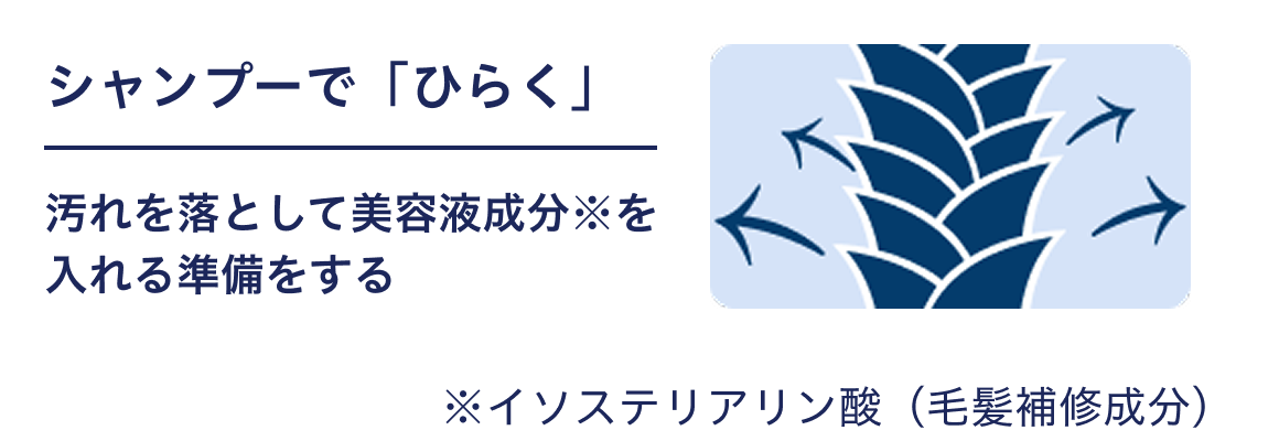 Vv[ŁuЂ炭v 𗎂ƂĔet鏀 C\XeA_iєCj