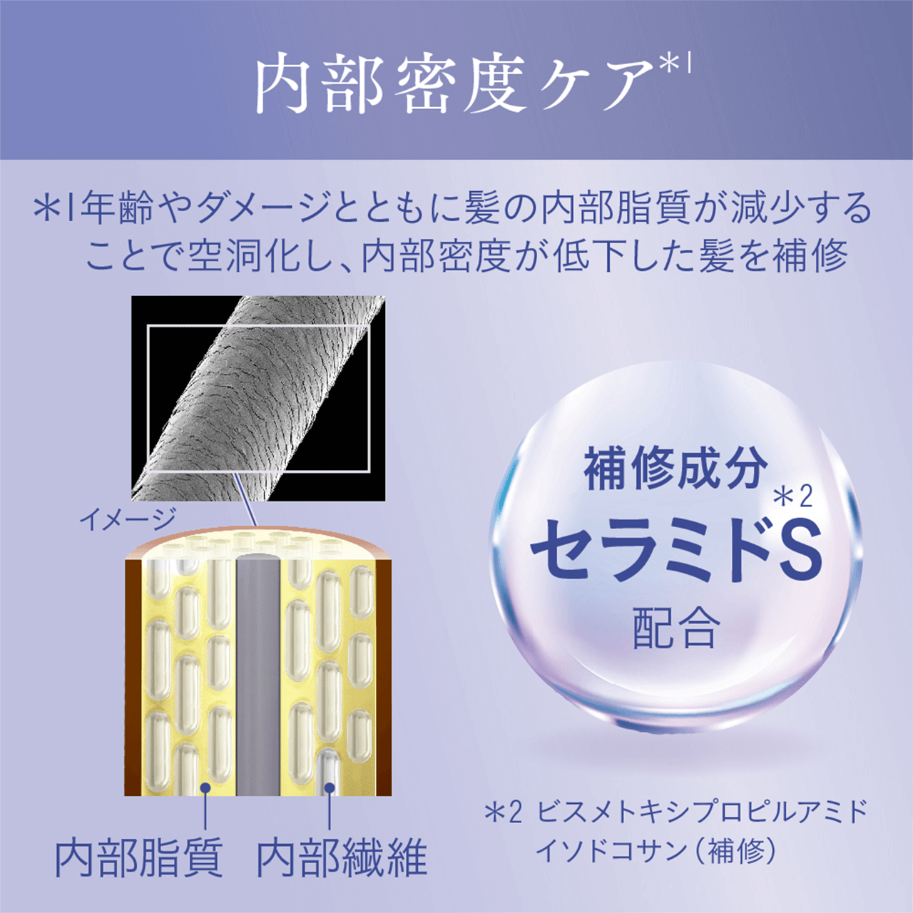 xPA
            N_[WƂƂɔ̓邱Ƃŋ󓴉AxቺC