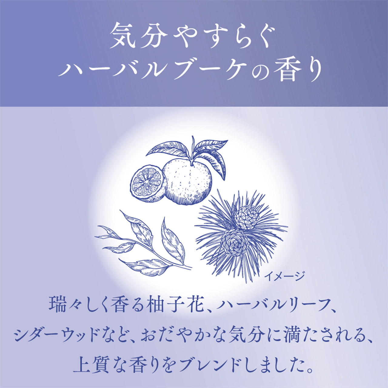 C₷炮n[ou[P̍
            XMqԁAn[o[tAV_[EbhȂǁA₩ȋCɖA㎿ȍuh܂B