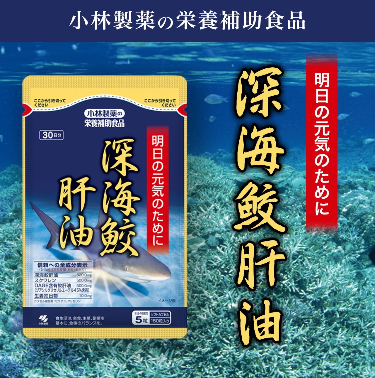 �����̌��C�̂��߂� �[�C�L�̖�(���񂩂����߂����)