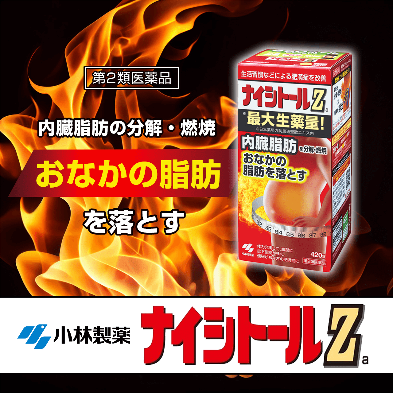 小林製薬ナイシトールZ