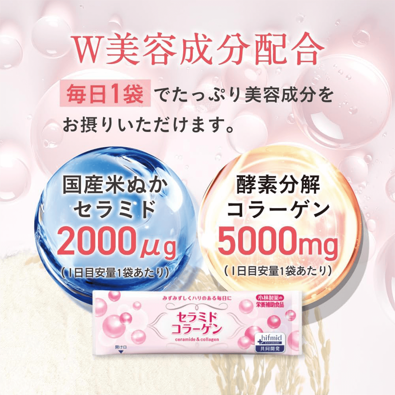 W���e�����z�� ����1�܂ł����Ղ���e���������ۂ肢�������܂��B