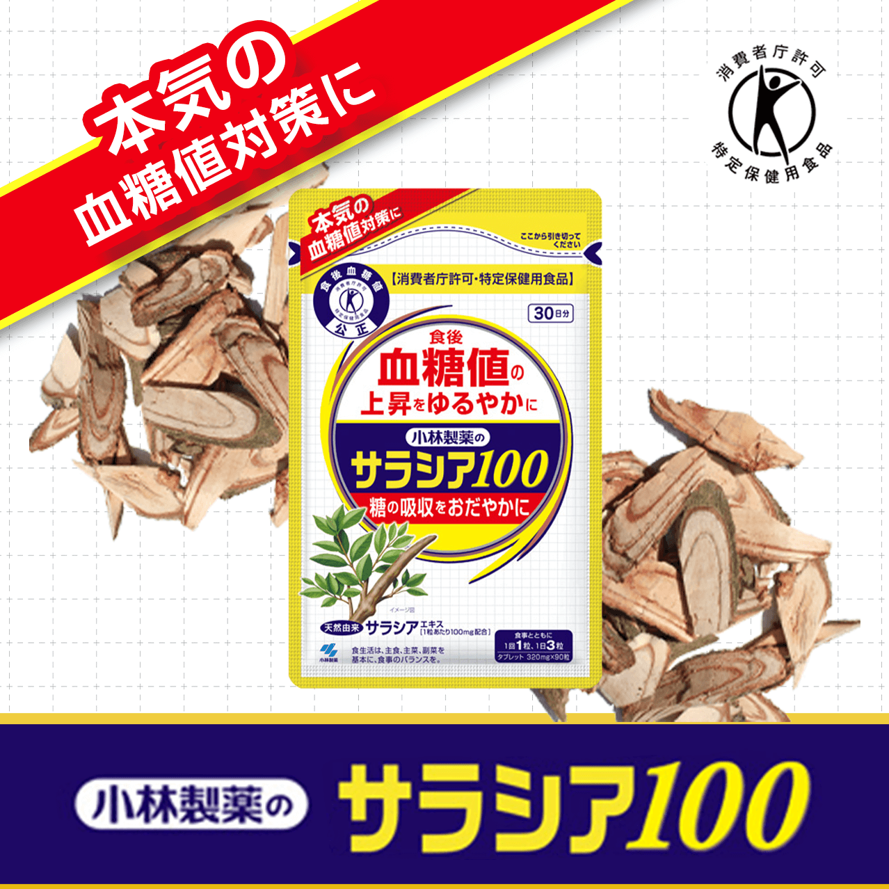 ���ѐ���̃T���V�A100