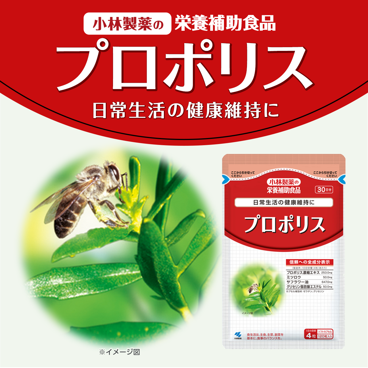 小林製薬の栄養補助食品プロポリス 日常生活の健康維持に