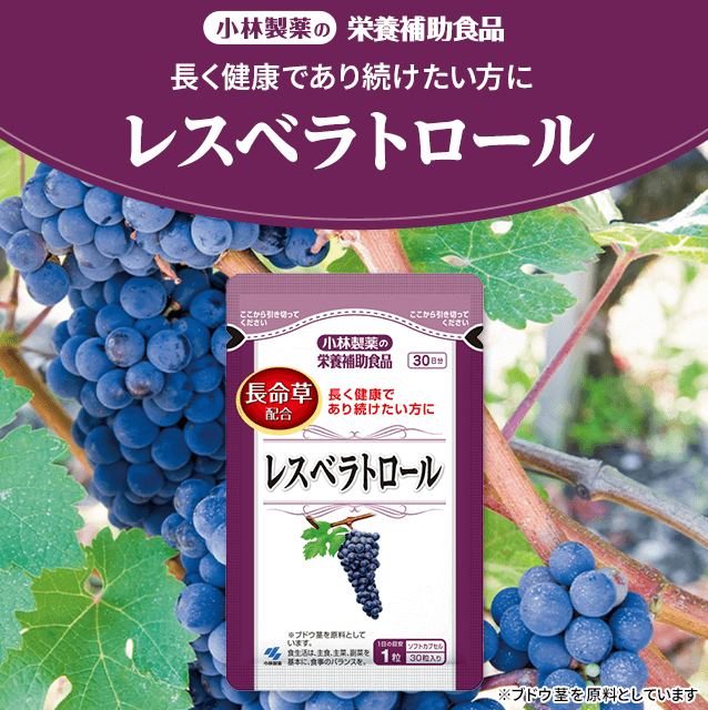 �������N�ł��葱���������� ���X�x���g���[��