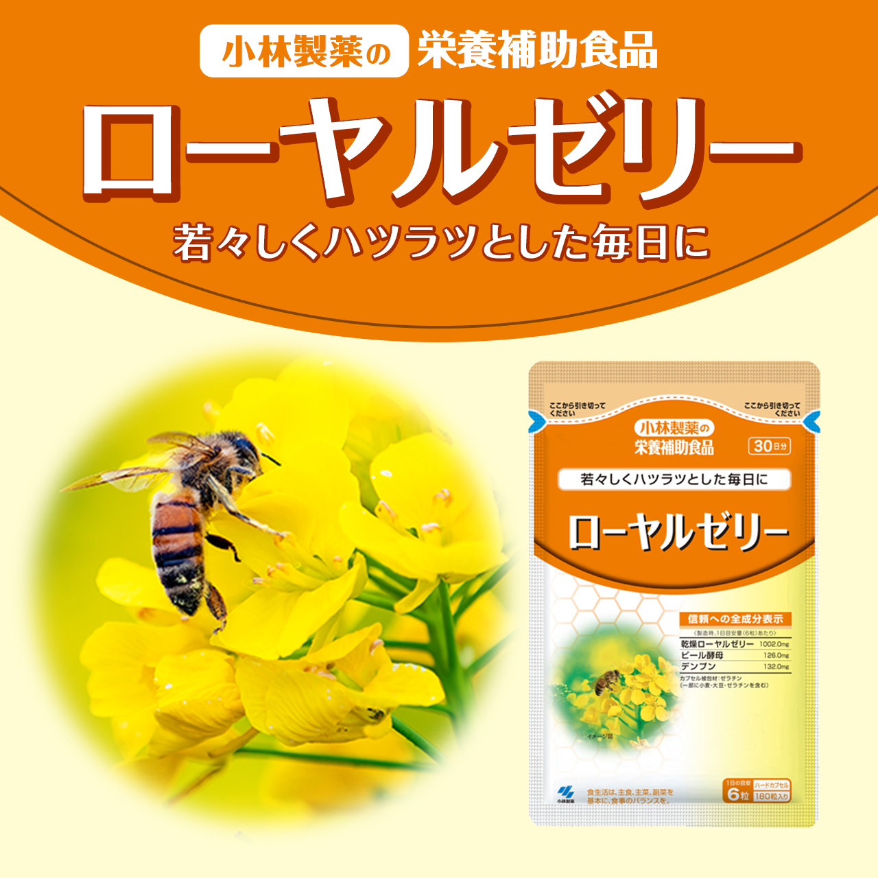 ���ѐ���̉h�{�⏕�H�i���[�����[���[��X�����n�c���c�Ƃ���������