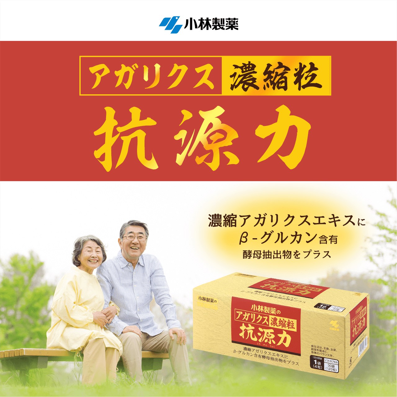 ���ѐ���A�K���N�X�Z�k���R����