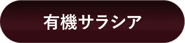 �L�@�T���V�A