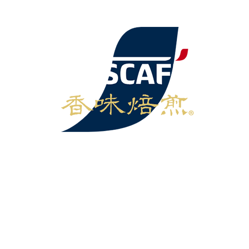 �l�X�J�t�F �������� �ЂƂƂ����ґ�