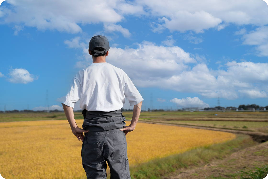 �C���[�W�摜