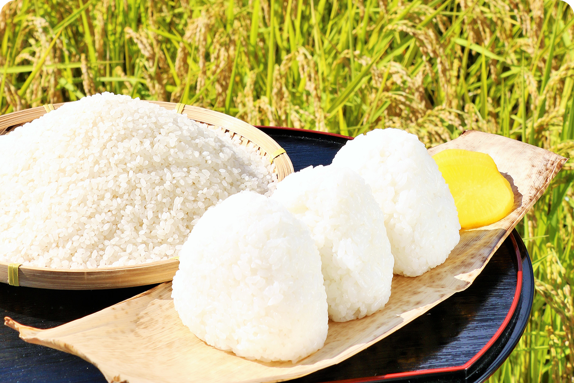 �C���[�W�摜