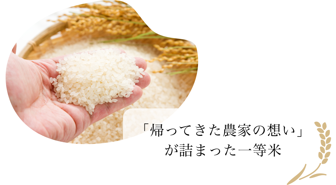 �u�A���Ă����_�Ƃ̑z���v���l�܂����ꓙ��