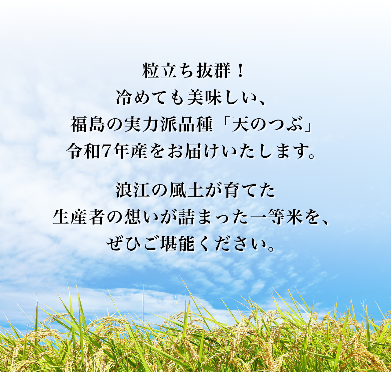 ���������Q�I
            ��߂Ă����������A�����̎��͔h�i��u�V�̂ԁv�ߘa7�N�Y�����͂��������܂��B
            �Q�]�̕��y����Ă����Y�҂̑z�����l�܂����ꓙ�Ă��A���Ђ����\���������B