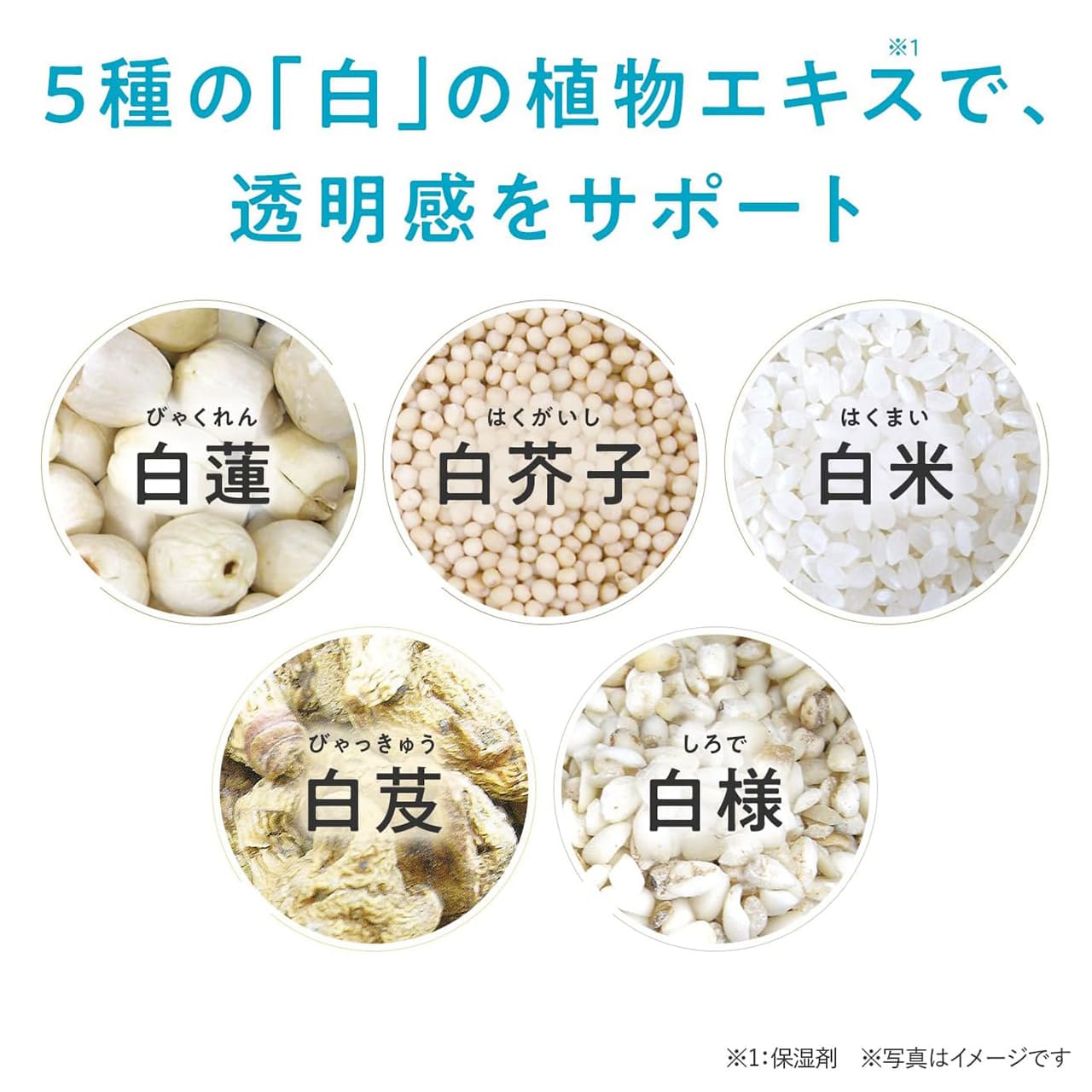 5��́u���v�̐A���G�L�X�œ��������T�|�[�g