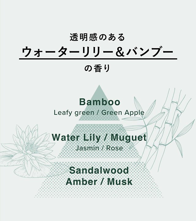 �������̂���E�H�[�^�[�����[���o���u�[�̍���y�g�b�v�m�[�g�FBamboo�ALeafy green / Green Apple�z�y�~�h���m�[�g�FWater Lily / Muguet�AJasmin / Rose�z�y�x�[�X�m�[�g�FSandalwood�AAmber / Musk�z