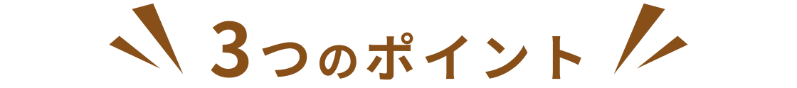 3つのポイント
