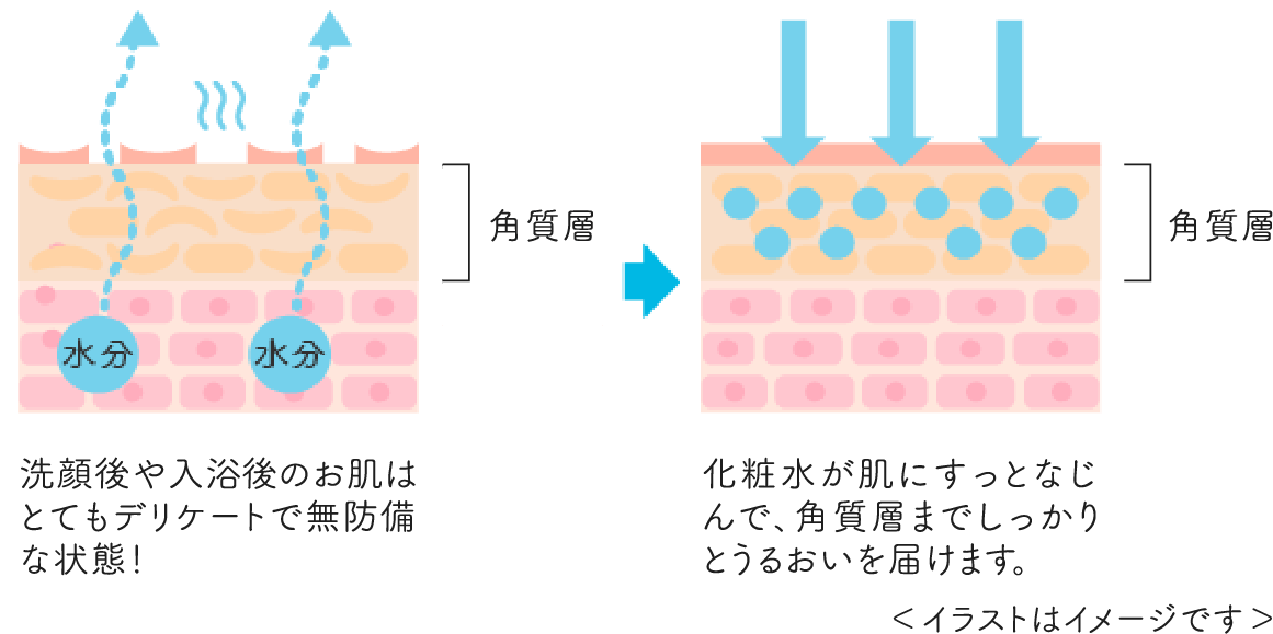 ����������̂����͂ƂĂ��f���P�[�g�Ŗ��h���ȏ�ԁI���ϐ������ɂ����ƂȂ���ŁA�p���w�܂ł�������Ƃ��邨����͂��܂��B���C���X�g�̓C���[�W�ł���